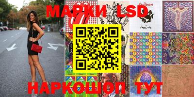 индика Сланцы