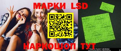 индика Сланцы