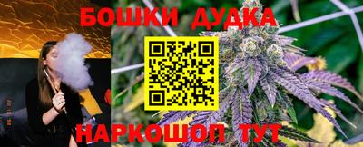 индика Сланцы