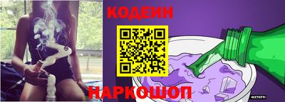 индика Сланцы
