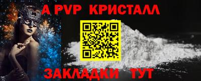 индика Сланцы
