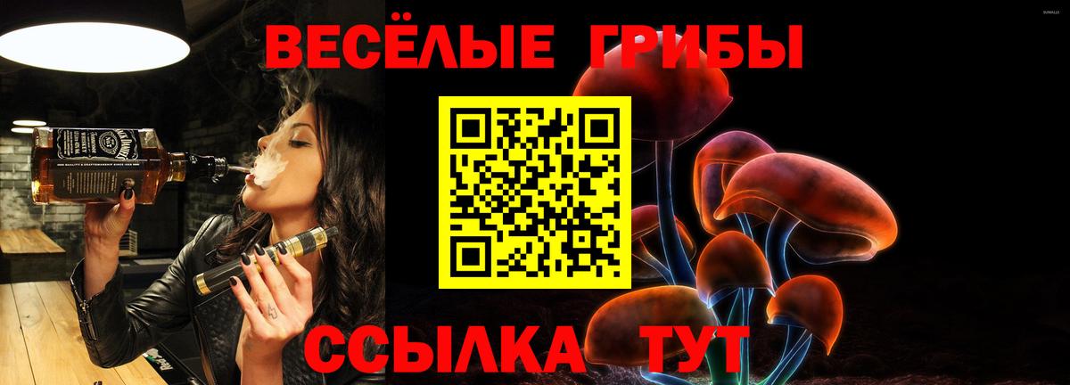 Галлюциногенные грибы прущие грибы  Вход с VPN  Сызрань  Галлюциногенные грибы Cubensis 